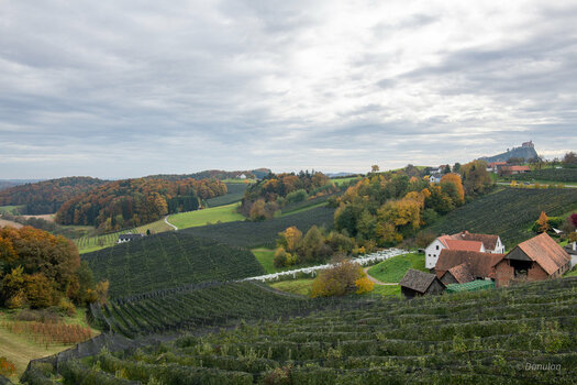 20201030-DSC_6695-HDR.jpg