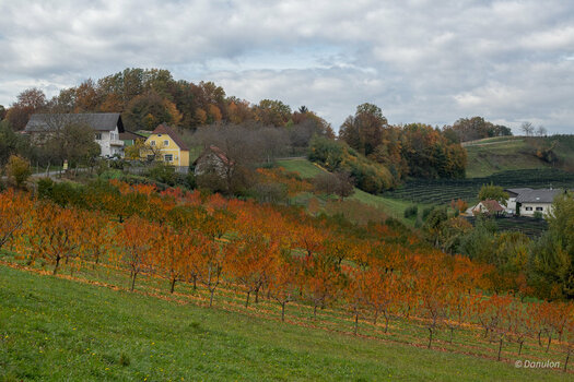20201030-DSC_6680.jpg