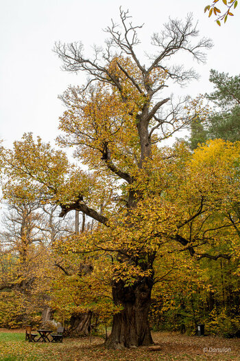 20201101-DSC_6731-HDR.jpg