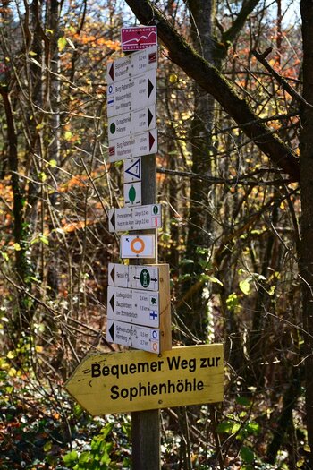 DSC_5608_k.jpg