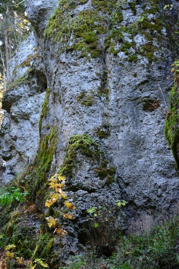 DSC_5667_k.jpg