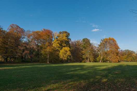 DSC_0263.JPG