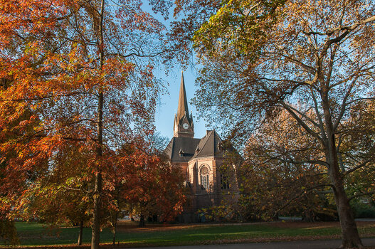 DSC_0336.JPG