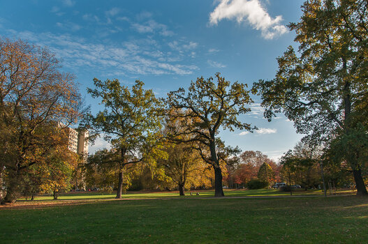 DSC_0297.JPG