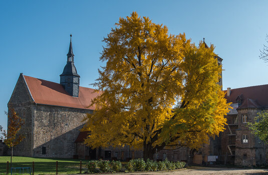 750_6747-Bearbeitet.JPG