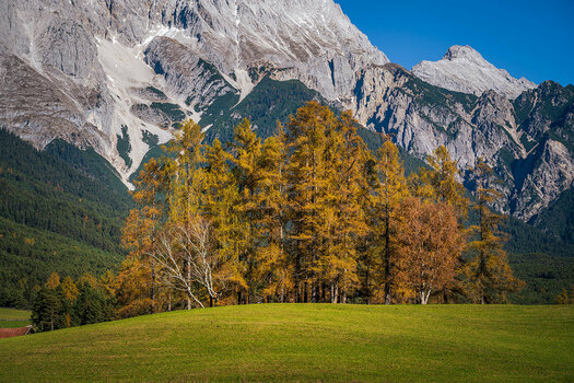 20201106_NZ7_1033NF.jpg