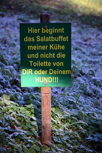 DSC_5723_k.jpg