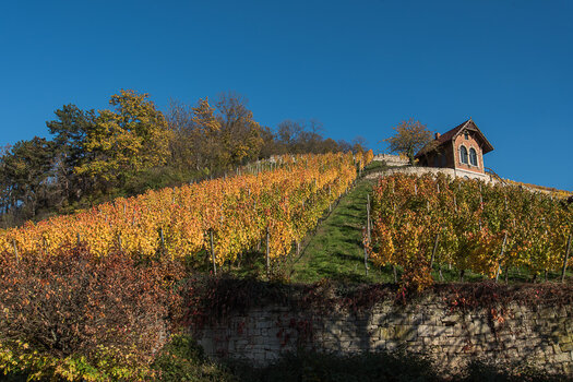 750_6796-Bearbeitet.JPG