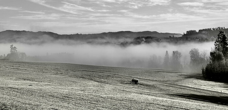 L1001351.jpg