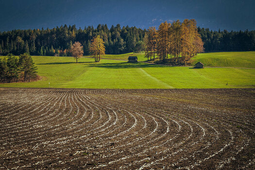 20201106_NZ7_1153NF.jpg