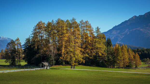 20201106_NZ7_1180wNF.jpg
