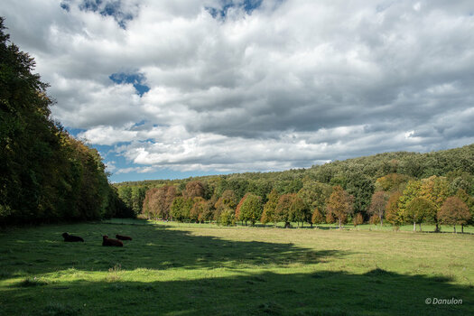 20201004-D75_4461.jpg