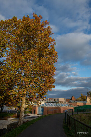 20201028-DSC_6633.jpg