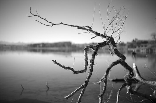 L1001427.jpg