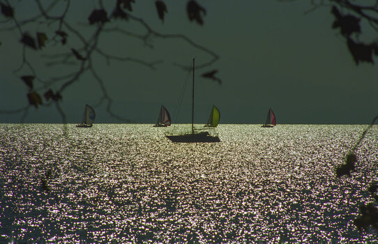 Segelboote.jpg
