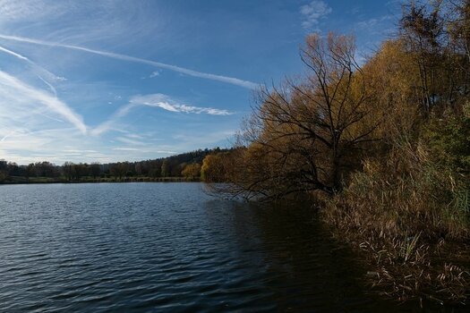 comp_DSC_0212.jpg