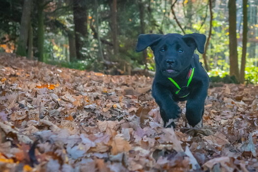 73042F04-D1AF-4B17-B157-A041C493B1E9.jpeg