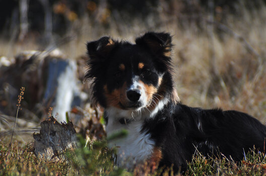 DSC_0111_02.jpg