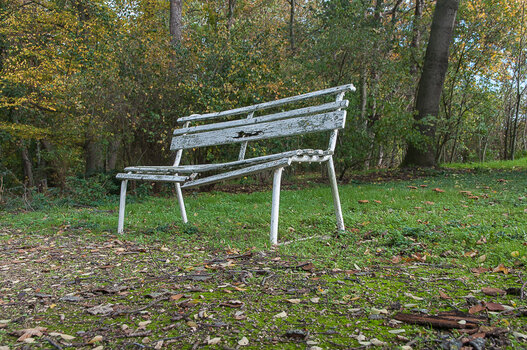 DSC_0182.JPG