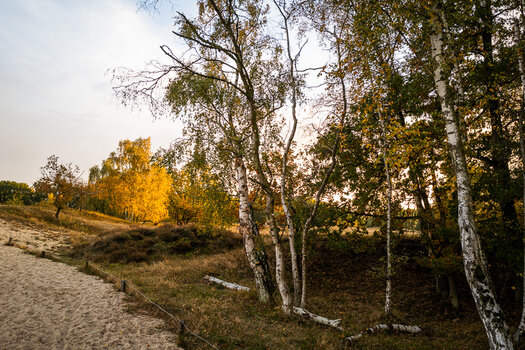 IMG_2020-10-23_17-43-02.jpg
