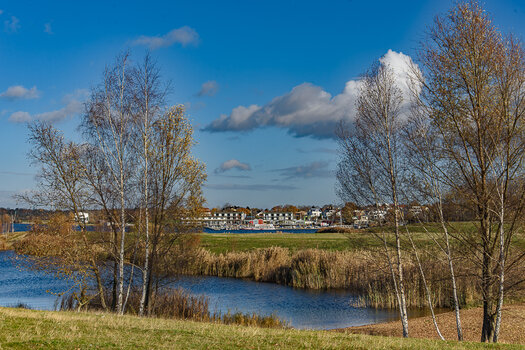 750_7176-Bearbeitet.JPG