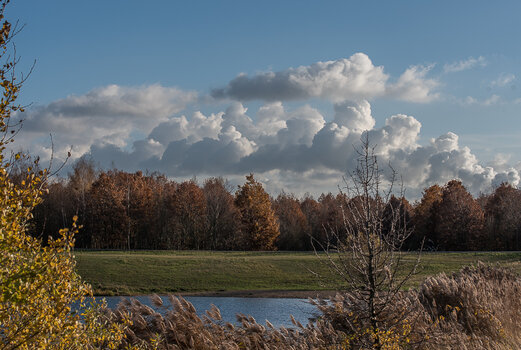 750_7261.JPG
