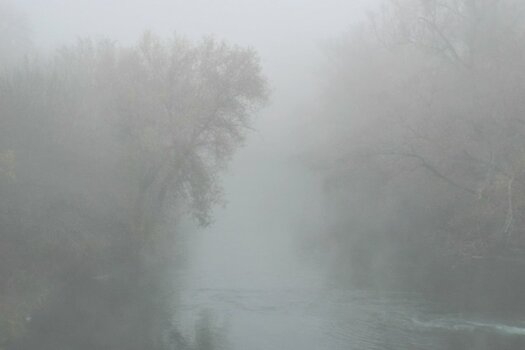 DSCN0151NF.jpg