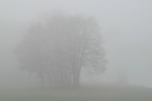 DSCN0149NF1.jpg
