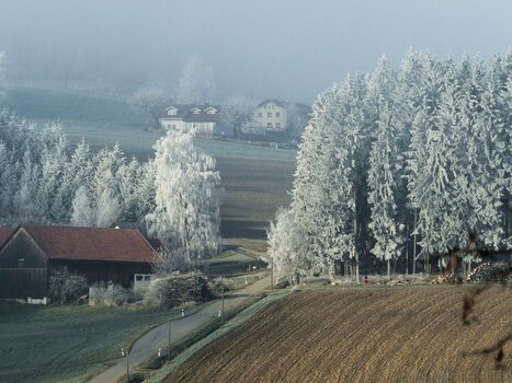 P1110968-vb-s.jpg