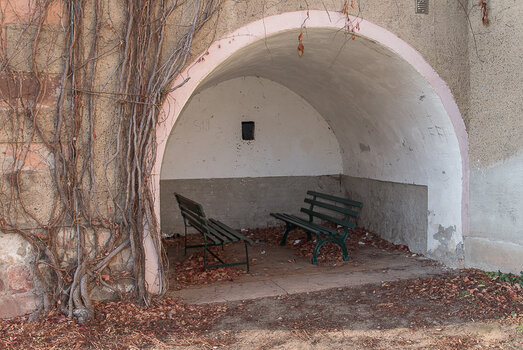 750_7425.JPG
