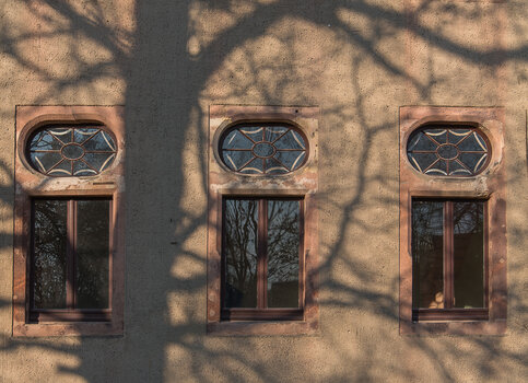 750_7469.JPG