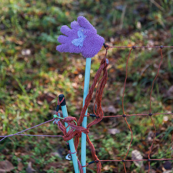 750_7602.JPG