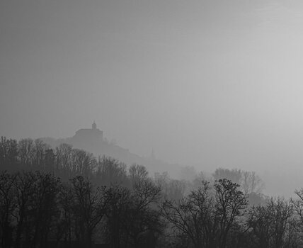 P1010103.jpg