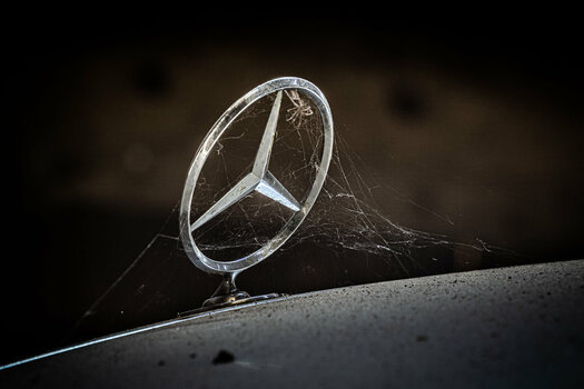 00613 Web Star.jpg