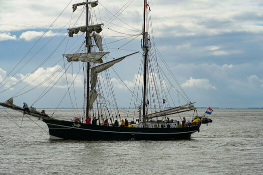 DSC02347.jpg