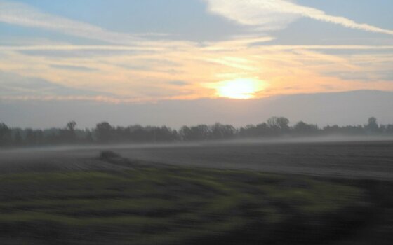 DSCN9751NF1.jpg