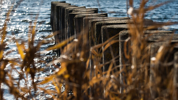 750_7694.JPG