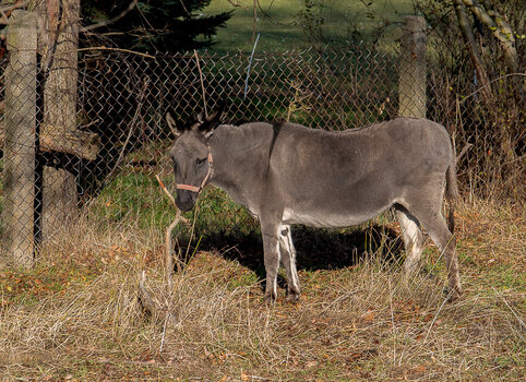 750_7604-Bearbeitet.JPG