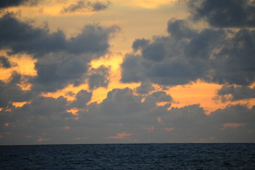 DSC_5607.JPG