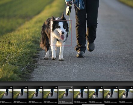 3Af Test Z6 II.JPG