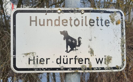 20201220_175643_klein.jpg