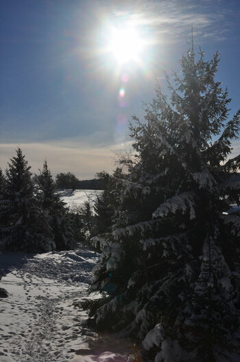 DSC_0019_01.jpg