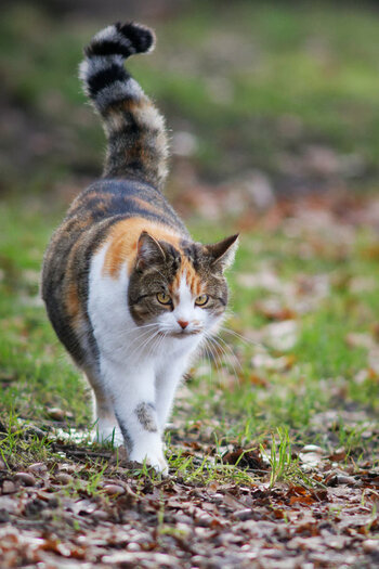 DSC_5990.jpg