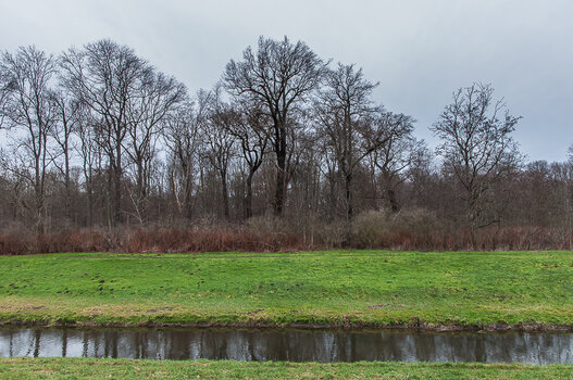 DSC_0529.JPG