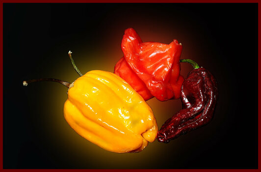 Peperoni Corona aufgehellt.jpg