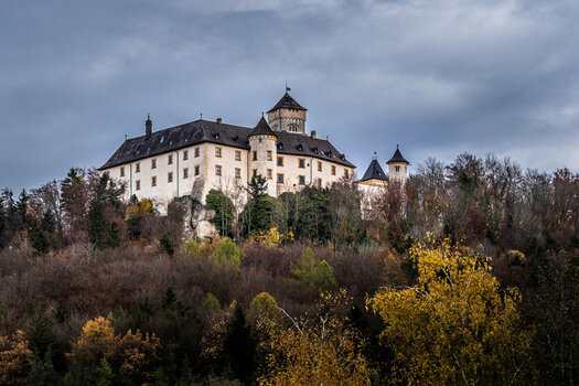20201104123908-DSC06004  Schloss Greifenstein Castle Greifenstein From Below.jpg
