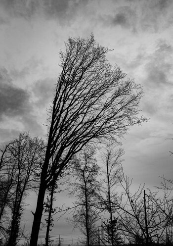 comp_PC210031.jpg