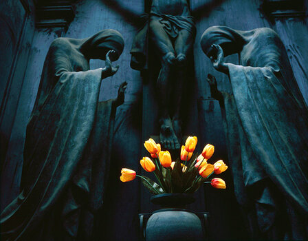 Blumen.jpg Blumen.jpg