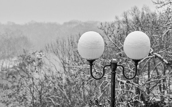 DSC_9085.jpg
