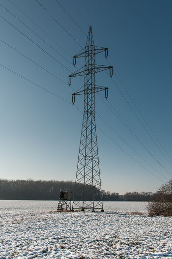 DSC_0636.JPG